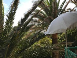 Blick vom Südwest-Balkon