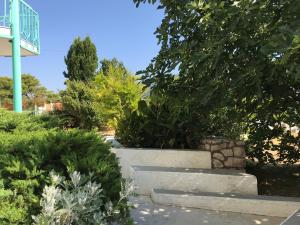 Haus Mikelic - Garten mit Feigenbaum